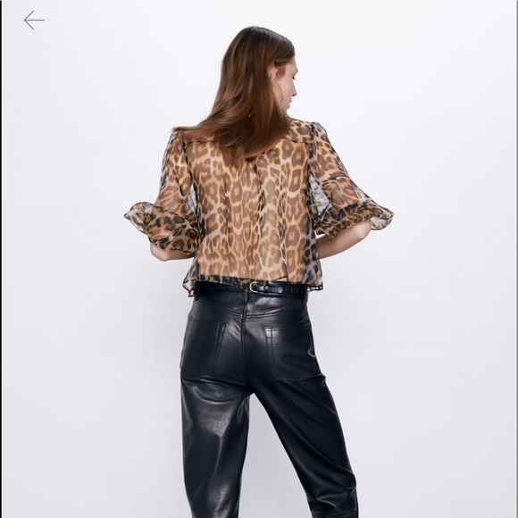 Zara Tops Zara Leopard Animal Print Organza Blouse Xs Poshmark